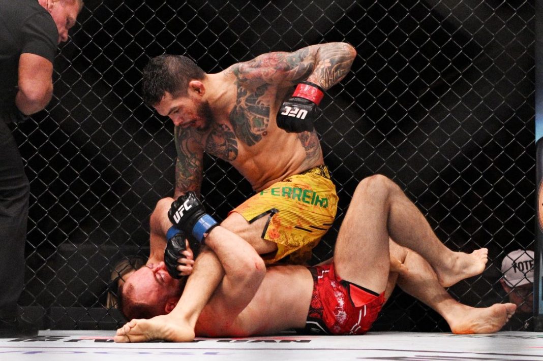 Walka w formule MMA.
