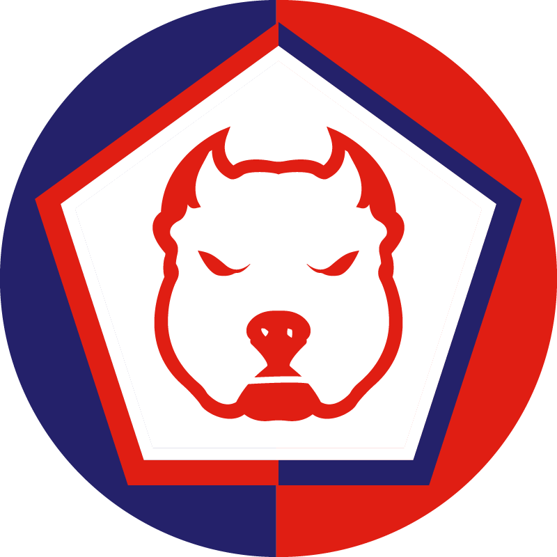 LOSC Lille