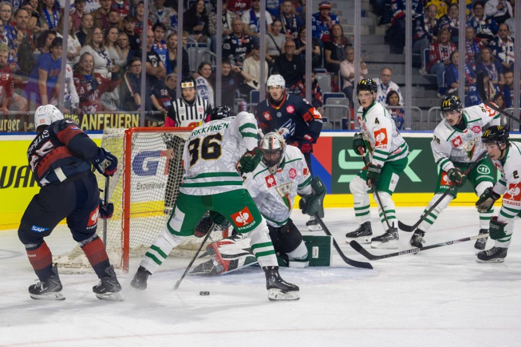 Hokeiści w trakcie meczu Adler Mannheim - GKS Tychy.